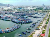 Một góc đô thị Đà Nẵng (ảnh Nguyễn Trình)