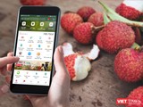 Người dùng có thể mua nông sản trên ứng dụng ví điện tử MoMo.