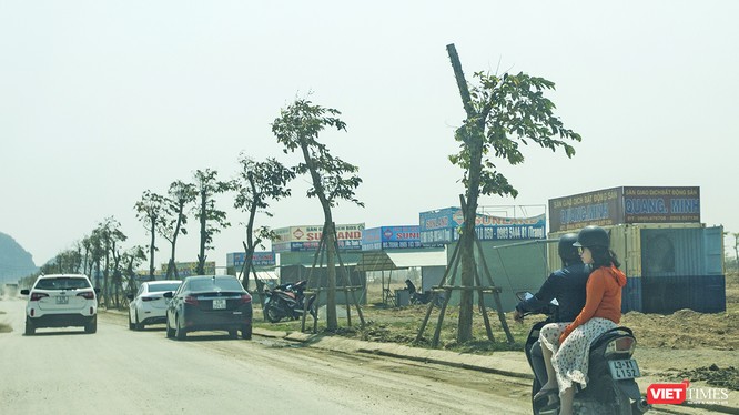 Có 8 sàn giao dịch BĐS tại Đà Nẵng đã chấm dứt hoạt động