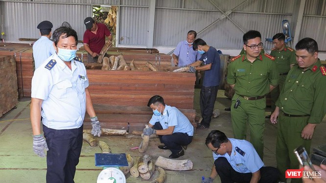 Cơ quan chức năng kiểm đếm lô hàng ngà voi nhậu lậu tại cảng Đà Nẵng