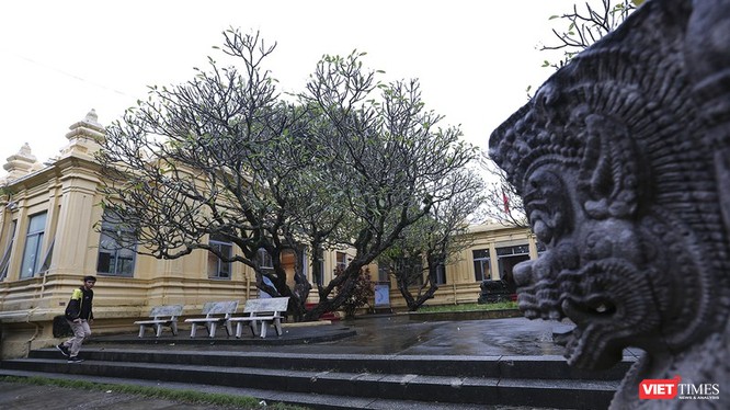 Bảo tàng điêu khắc Chăm (Đà Nẵng)