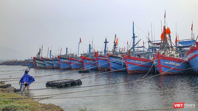 Tàu thuyền về neo đậu tại âu thuyền Thọ Quang (Đà Nẵng) để tránh bão số 5