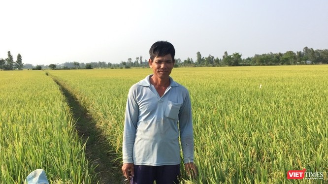 Một người nông dân trồng lúa ở An Giang kể về những ảnh hưởng trực tiếp của COVID-19 và suy thoái kinh tế tới gia đình ông. Ảnh: Nguyễn Đức Ninh.
