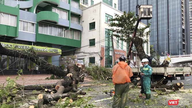 Lực lượng công nhân tổ chức khắc phục hậu quả bão số 9 ngay khi ngớt gió