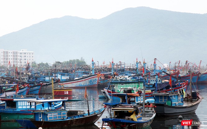 Ngân sách sẽ hỗ trợ hàng năm 100% kinh phí mua bảo hiểm tai nạn thuyền viên cho mỗi thuyền viên làm việc trên tàu. Hỗ trợ hàng năm 50% kinh phí mua bảo hiểm thân tàu