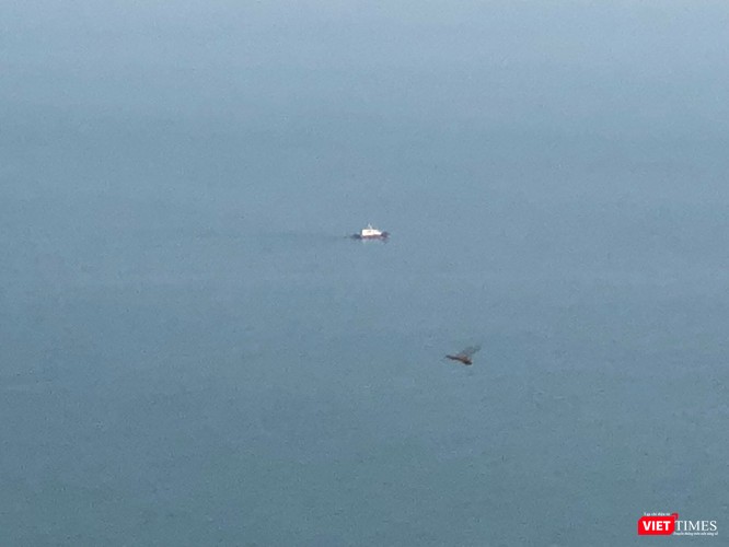 Những hình ảnh đầu tiên của tàu sân bay Mỹ Carl Vinson tại Đà Nẵng ảnh 3