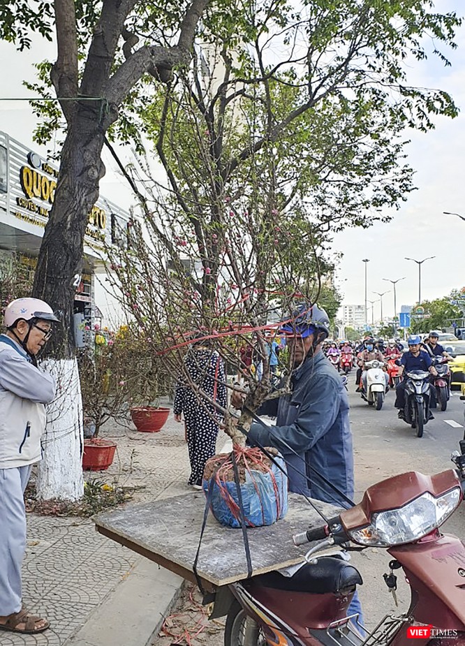 Ảnh: Rộn ràng chợ hoa xuân Đà Nẵng ảnh 12