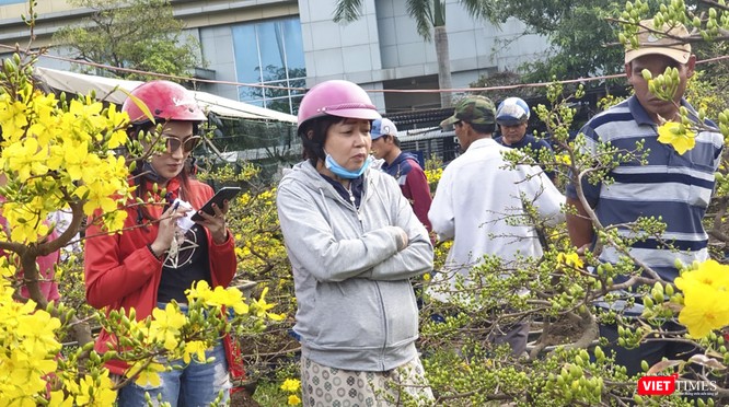 Ảnh: Rộn ràng chợ hoa xuân Đà Nẵng ảnh 16