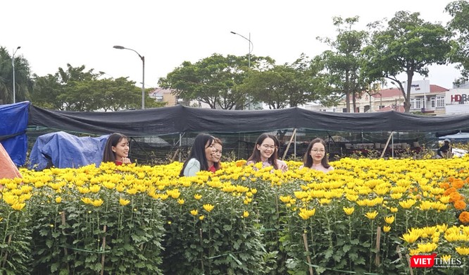 Ảnh: Rộn ràng chợ hoa xuân Đà Nẵng ảnh 18
