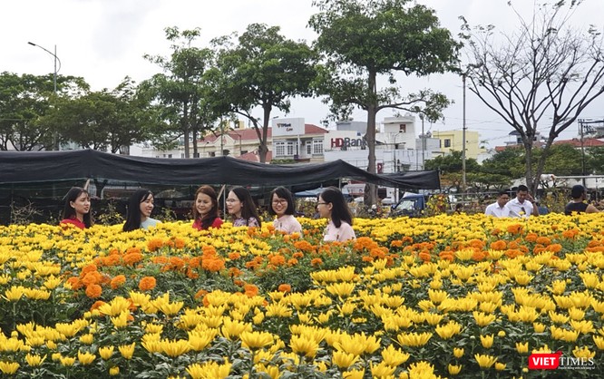 Ảnh: Rộn ràng chợ hoa xuân Đà Nẵng ảnh 22