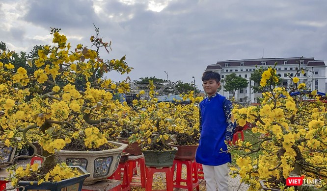 Ảnh: Rộn ràng chợ hoa xuân Đà Nẵng ảnh 2