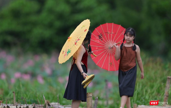 Ảnh: Vẻ đẹp khó cưỡng của đầm sen lớn Trà Lý ở Quảng Nam ảnh 19