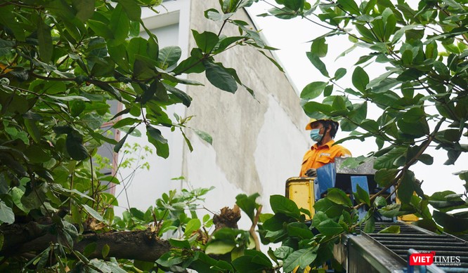 Ảnh: Người dân Đà Nẵng căng mình ứng phó với bão số 5 ảnh 16