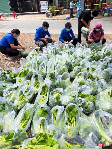 Đắk Lắk sắp cạn nguồn rau xanh hỗ trợ tỉnh bạn ảnh 9