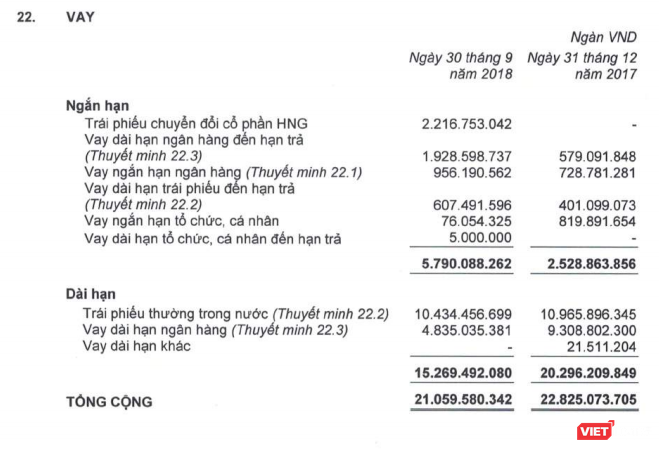 HAG: Lãi 516 tỷ đồng từ giảm sở hữu tại HAGL Land, vay tỷ phú Trần Bá Dương 500 tỷ đồng ảnh 2