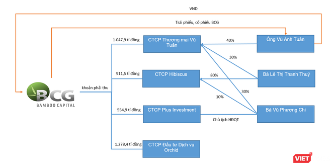BCG và khoản phải thu 3.900 tỉ đồng với nhóm Vũ Tuân ảnh 2