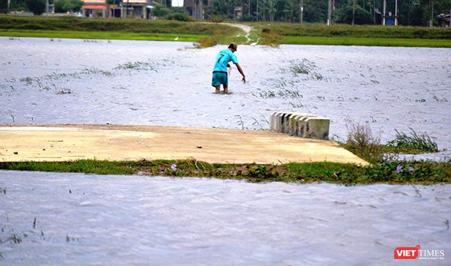 Một số khu vực tại Quảng Nam bị chia cắt cục bộ do mưa lũ