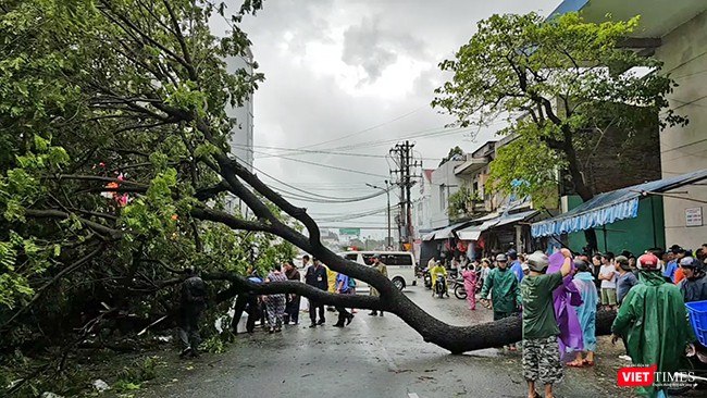 Bão số 12 không đổ bộ, Đà Nẵng vẫn thiệt hại nặng ảnh 11