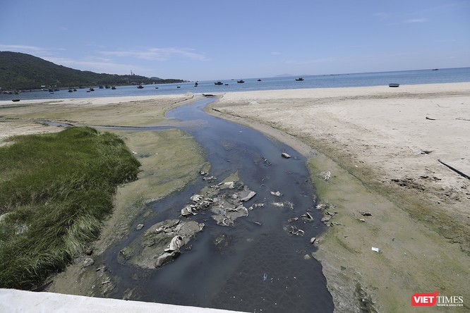 Bãi biển Đà Nẵng “ngộ độc” nước thải thế nào - Kỳ 1 ảnh 2