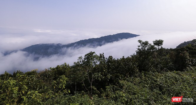 Du khách hứng thú ngắm “sông mây” trên đỉnh Sơn Trà ảnh 1