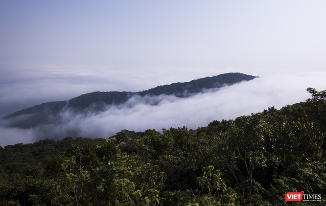 Du khách hứng thú ngắm “sông mây” trên đỉnh Sơn Trà ảnh 3