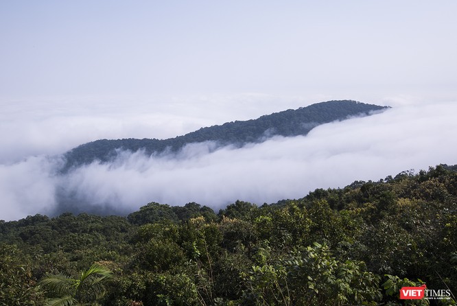 Du khách hứng thú ngắm “sông mây” trên đỉnh Sơn Trà ảnh 4