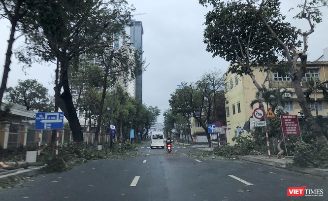 Đà Nẵng như bãi chiến trường sau trận "càn quét" của siêu bão số 9 ảnh 8
