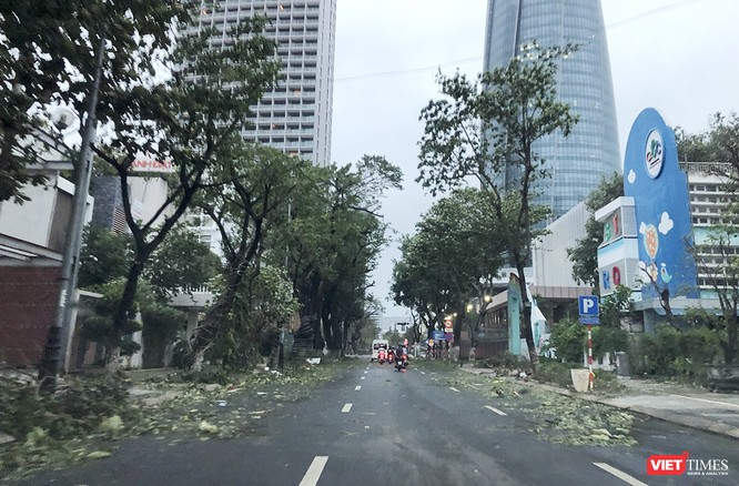 Đà Nẵng như bãi chiến trường sau trận "càn quét" của siêu bão số 9 ảnh 1