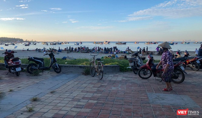 Đà Nẵng: Bất chấp lệnh cấm, chợ cá vẫn họp trên bãi biển Thọ Quang ảnh 1