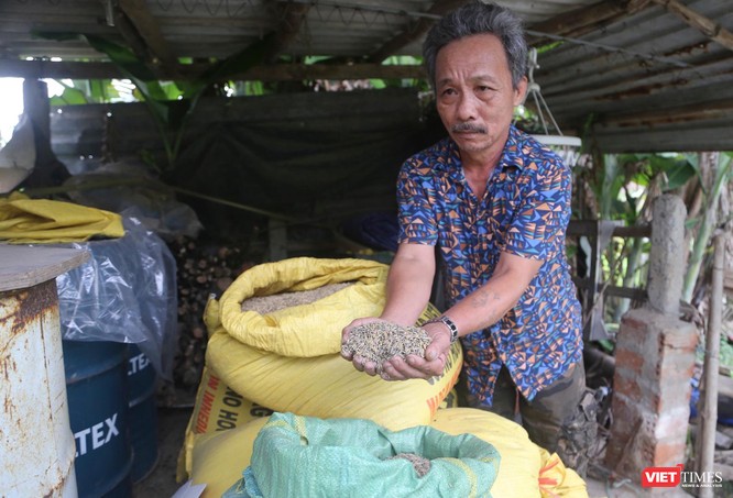 Đà Nẵng: Lúa nhiễm độc do mỏ than án ngự nguồn nước ảnh 1