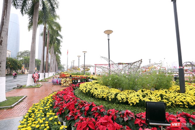 Đà Nẵng rộn ràng sửa soạn đón Xuân Kỷ Hợi 2019 ảnh 12