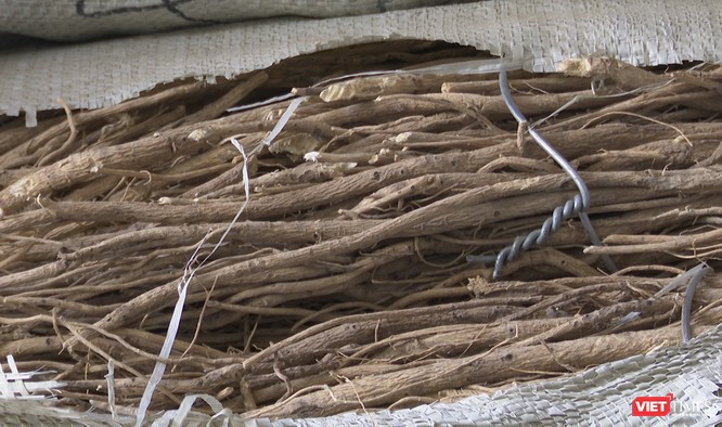 Vụ 100 tấn thảo dược nhập lậu ở Đà Nẵng: Nguy cơ khó lường nếu sử dụng ảnh 1