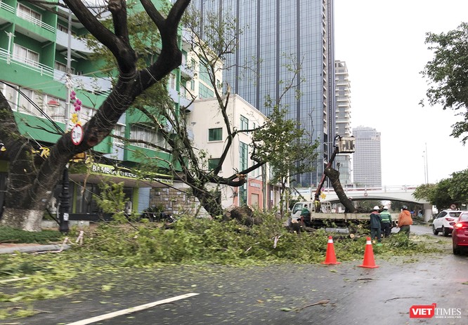 Đà Nẵng như bãi chiến trường sau trận "càn quét" của siêu bão số 9 ảnh 21