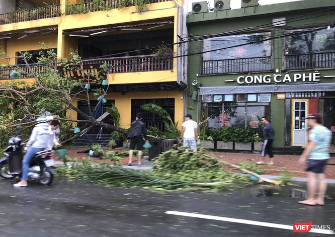 Đà Nẵng như bãi chiến trường sau trận "càn quét" của siêu bão số 9 ảnh 20