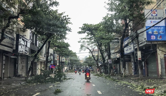 Đà Nẵng như bãi chiến trường sau trận "càn quét" của siêu bão số 9 ảnh 2