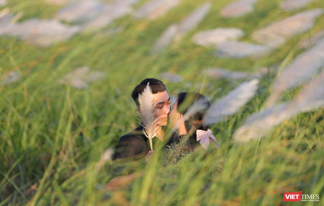 Ảnh: Giới trẻ Đà Nẵng khoe sắc giữa mùa cỏ lau ảnh 22