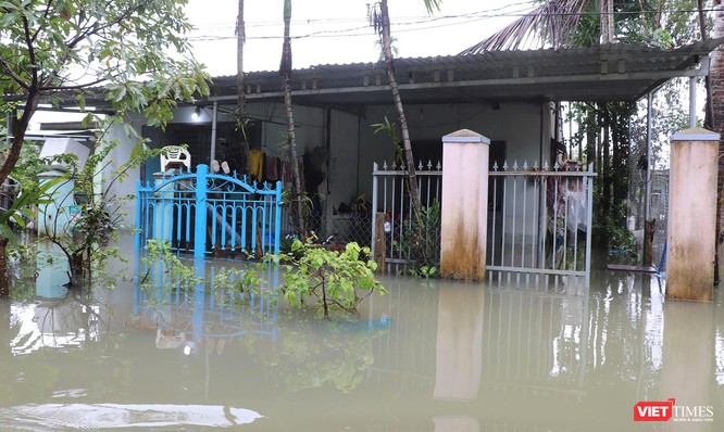 Quảng Nam: Mưa lớn kéo dài, nhiều nơi ở TP Tam Kỳ ngập sâu trong nước ảnh 5