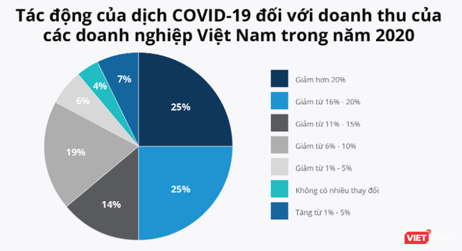 Hơn nửa doanh nghiệp Việt “bầm dập” do hiệu ứng Domino từ COVID-19 ảnh 1
