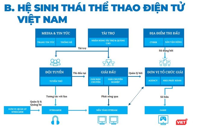 Top hơn 54 về mô hình kinh tế thể thao  cdgdbentreeduvn