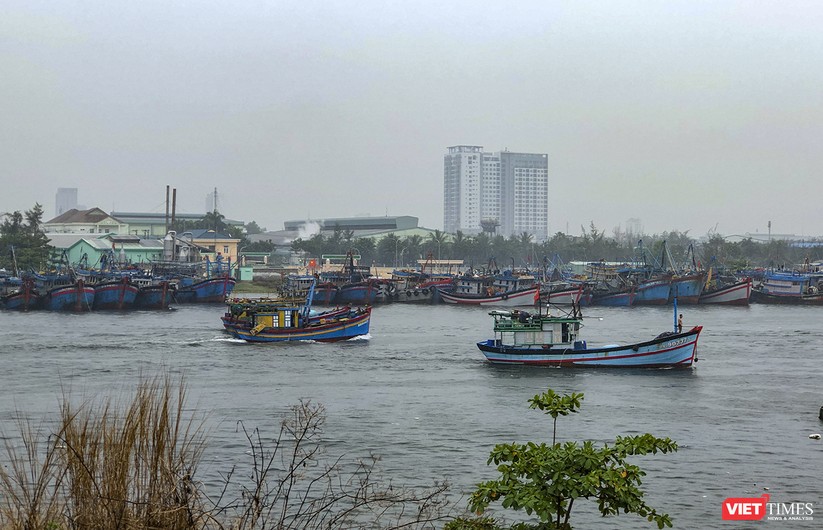 Bão số 5 cận kề, Đà Nẵng khẩn trương đưa tàu thuyền lên bờ tránh trú ảnh 2