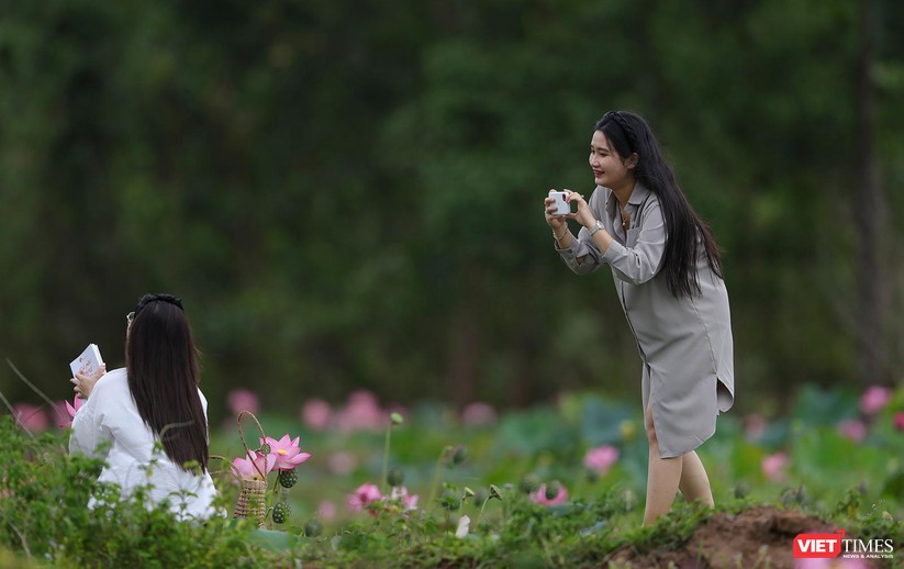 Ảnh: Vẻ đẹp khó cưỡng của đầm sen lớn Trà Lý ở Quảng Nam ảnh 12