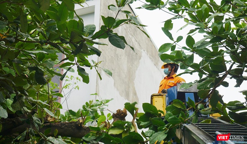 Ảnh: Người dân Đà Nẵng căng mình ứng phó với bão số 5 ảnh 16