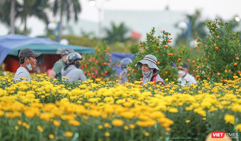 Ảnh: Nhộn nhịp chợ hoa xuân Nhâm Dần ở Đà Nẵng ảnh 3