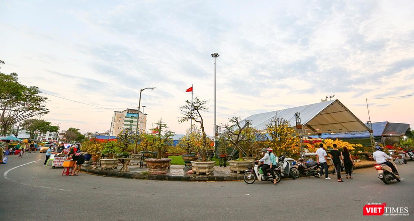Ảnh: Nhộn nhịp chợ hoa xuân Nhâm Dần ở Đà Nẵng ảnh 32