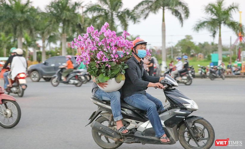 Ảnh: Nhộn nhịp chợ hoa xuân Nhâm Dần ở Đà Nẵng ảnh 33