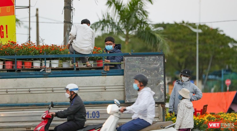 Ảnh: Nhộn nhịp chợ hoa xuân Nhâm Dần ở Đà Nẵng ảnh 25