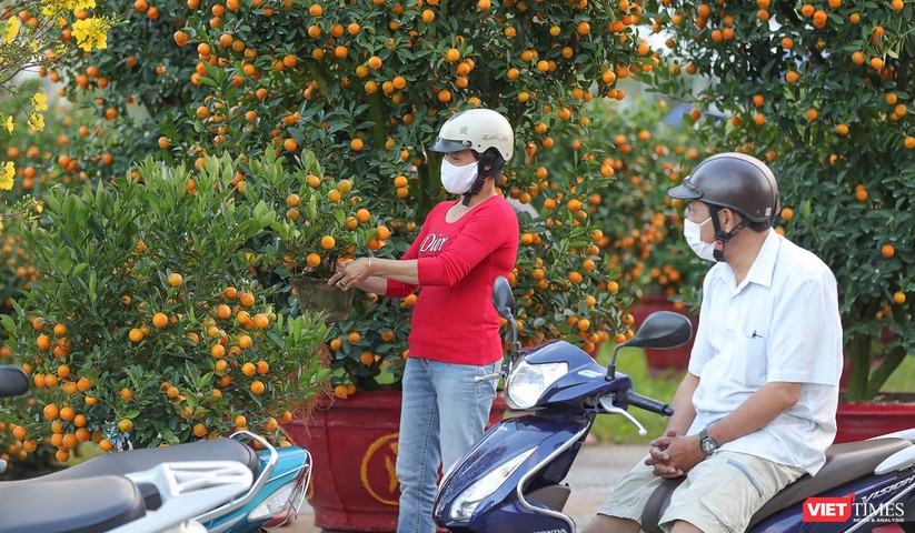 Ảnh: Nhộn nhịp chợ hoa xuân Nhâm Dần ở Đà Nẵng ảnh 9