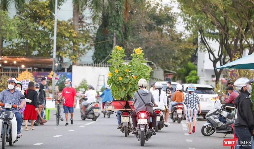 Ảnh: Nhộn nhịp chợ hoa xuân Nhâm Dần ở Đà Nẵng ảnh 31