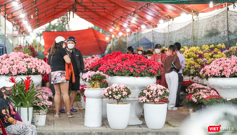 Ảnh: Nhộn nhịp chợ hoa xuân Nhâm Dần ở Đà Nẵng ảnh 16