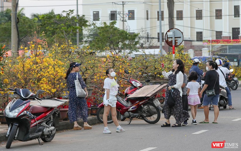 Ảnh: Nhộn nhịp chợ hoa xuân Nhâm Dần ở Đà Nẵng ảnh 4
